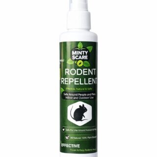 Minty Scare Natural Rodent Repellent Spray – Safe for Home & Pets