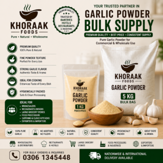 Prmium garlic powder bulk wholesale